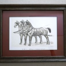 P1000545-1